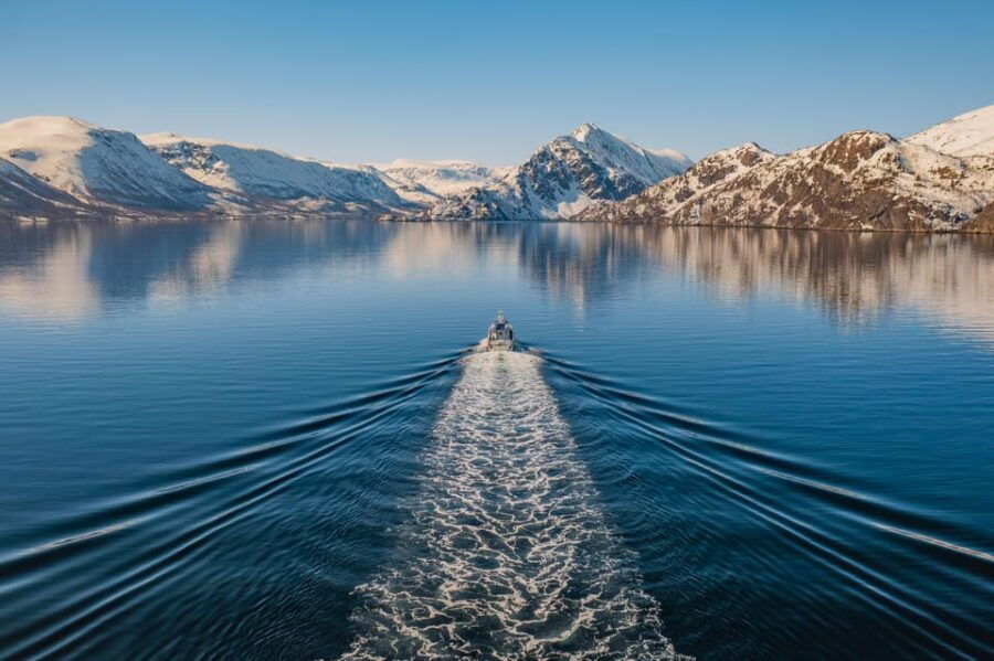Alta: Altafjord Whale Watching in a Heated Boat - Introduction