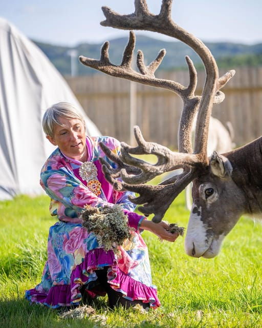 Alta: Reindeer - A carrier of Sámi Culture - Good To Know