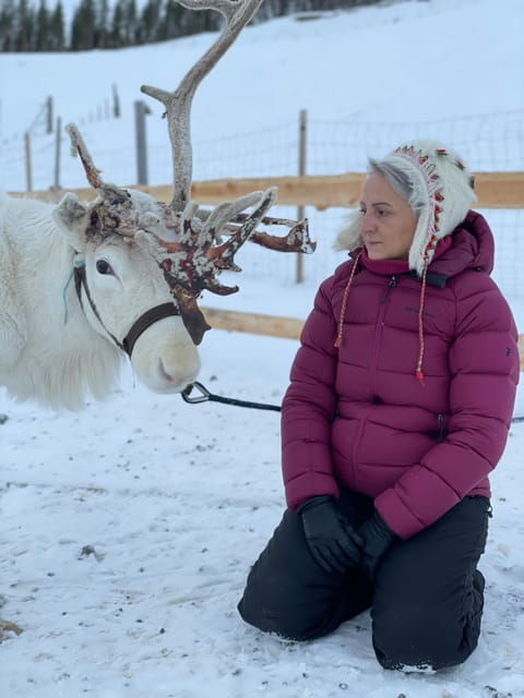 Alta: Sami Cultural experience - Lavvu - Reindeers - In-Depth Review of the Sami Cultural Experience