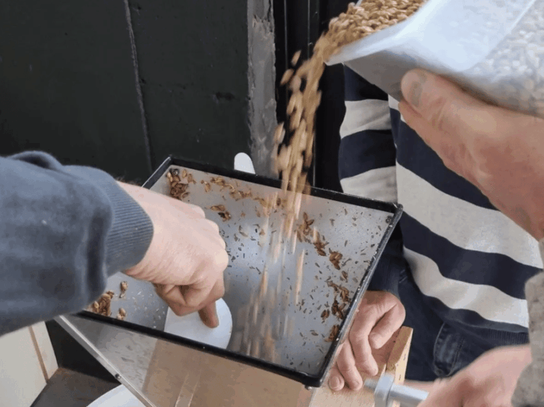Amersfoort: Beer brewing workshop with lunch & beer tasting
