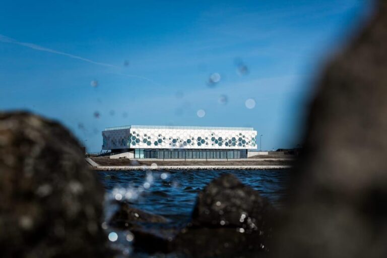 Amsterdam: Afsluitdijk and Wadden Center Museum Private Tour