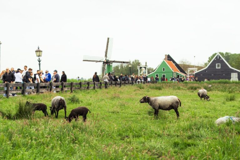 Amsterdam: Explore Zaanse Schans: Half-Day Luxury Coach Trip
