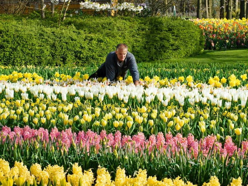 Amsterdam: Keukenhof Ticket and Roundtrip Shuttle Transfer - A Detailed Look at Your Day Out at Keukenhof