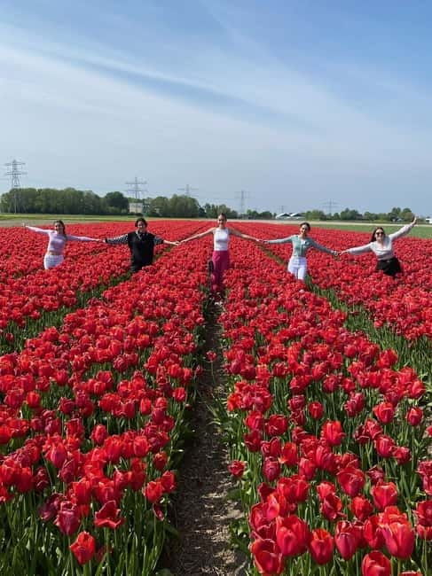 Amsterdam: Keukenhof, Tulip Farm Full-Day Tour with Cruise