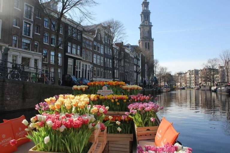 Amsterdam: Premium Tulip Boat Canal Tour