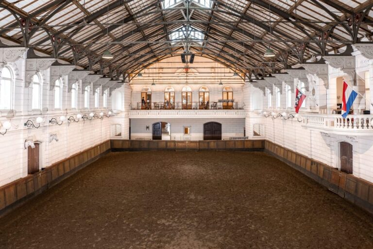 Amsterdam: The ‘Hollandsche Manege’ Stables Entry Ticket