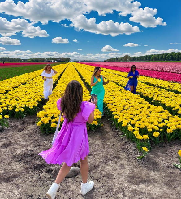 Amsterdam: Tulip Fields Day Tour with Lunch & Windmill - The Experience: What to Expect from the Tour