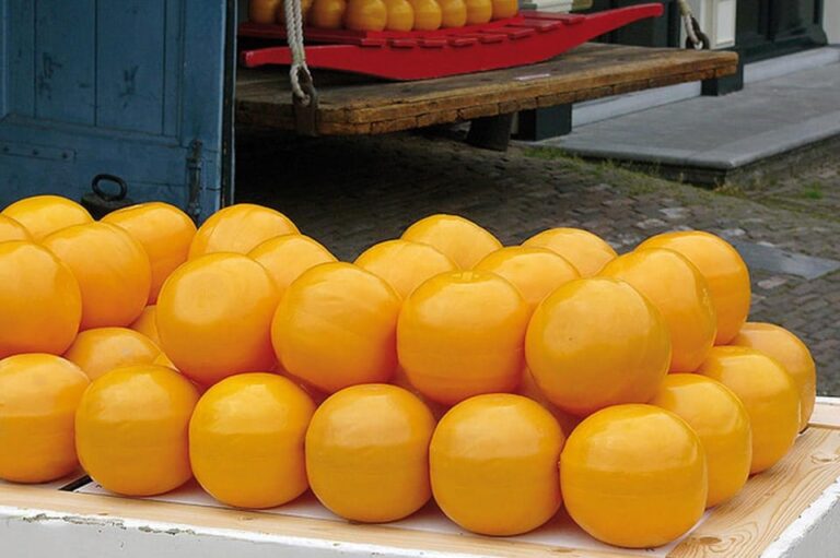 Amsterdam: Zaanse Schans, Edam, Volendam, Marken Guided Tour