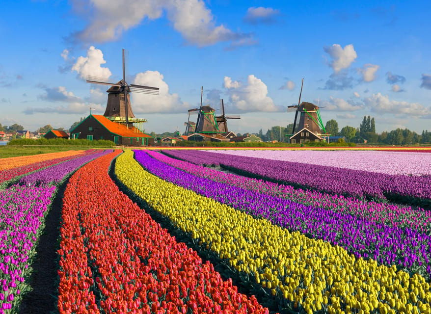 Amsterdam: Zaanse Schans, The Hague & Rotterdam Tour - Exploring the Best of the Netherlands in a Single Day