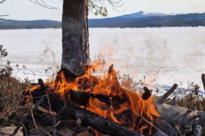 An Evening in the Backcountry, Northern Lights on a Sleighride - An Overview of the Tour Experience