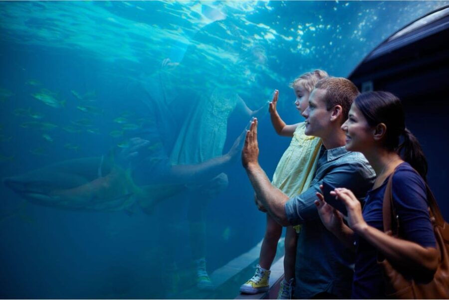 Antalya: Aquarium and Wax Museum Entry Ticket - Dive Into the Aquarium