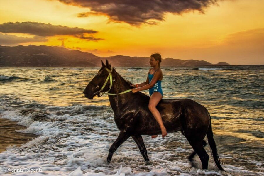 Antalya: Lara Beach & Forrest Horse Riding Safari - Good To Know