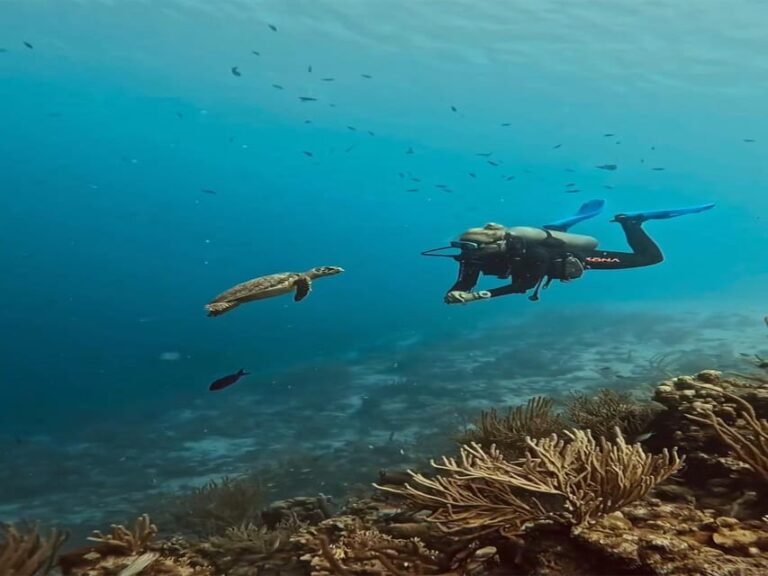 Antalya, Side and Alanya: Scuba Diving with Lunch & 2 Dives