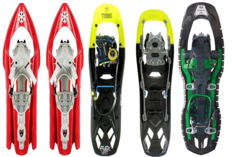 Aosta Valley: Snowshoe Lessons in Enchanted Winter Forests