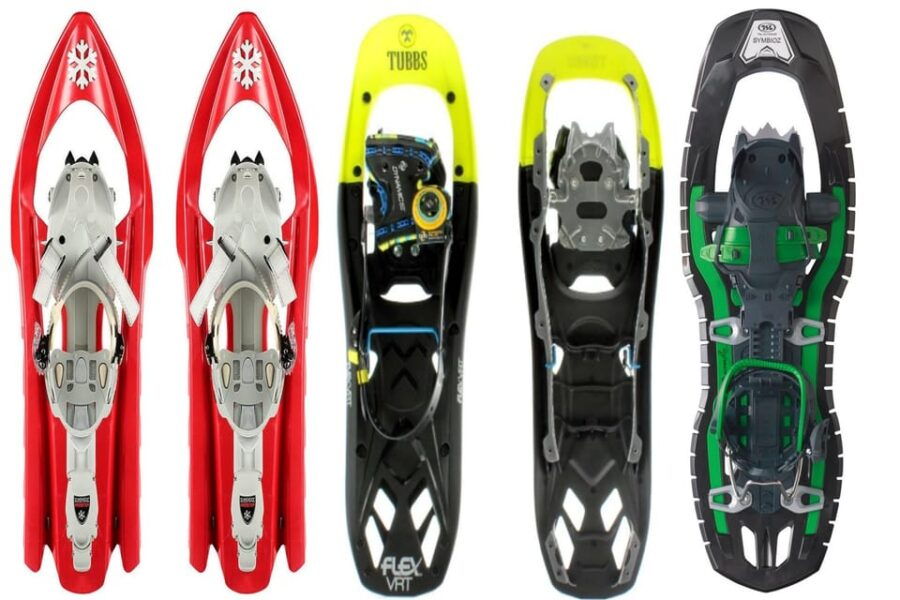 Aosta Valley: Snowshoe Lessons in Enchanted Winter Forests - An Overview of the Snowshoe Experience in Aosta Valley