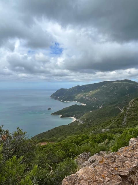 Arrábida: Wine Tour & Tastings Day Tour (Private) - A Detailed Look at What This Tour Offers