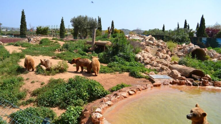 Athens: Attica Zoological Park & Athens National Garden Trip