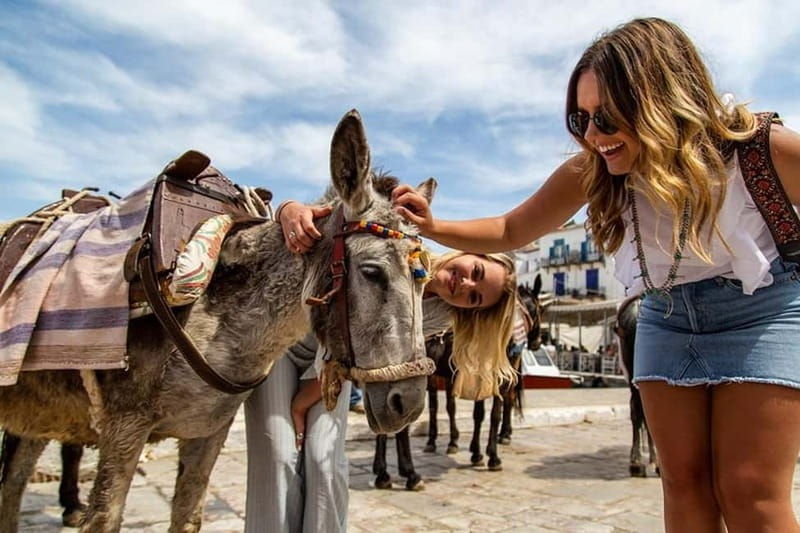 Athens Day Cruise  Since 1965 | Visit Hydra, Poros & Aegina - Good To Know