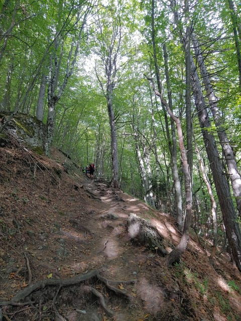 Athens to Mount Olympus: 2 days private tour