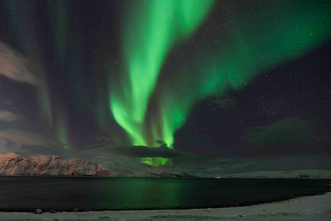 Aurora Hunt with Professional Photographer from Alta - Good To Know