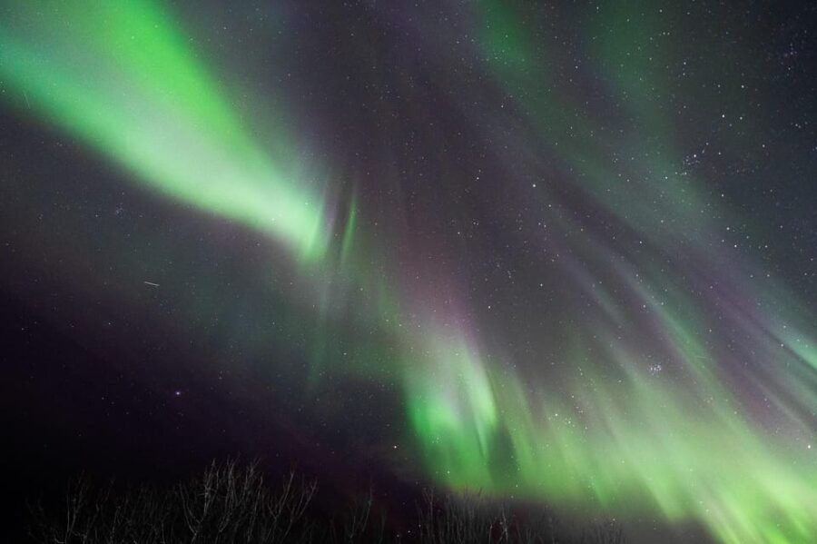 Aurora Lofoten, Northern Lights Centre Visit - The Experience Overview