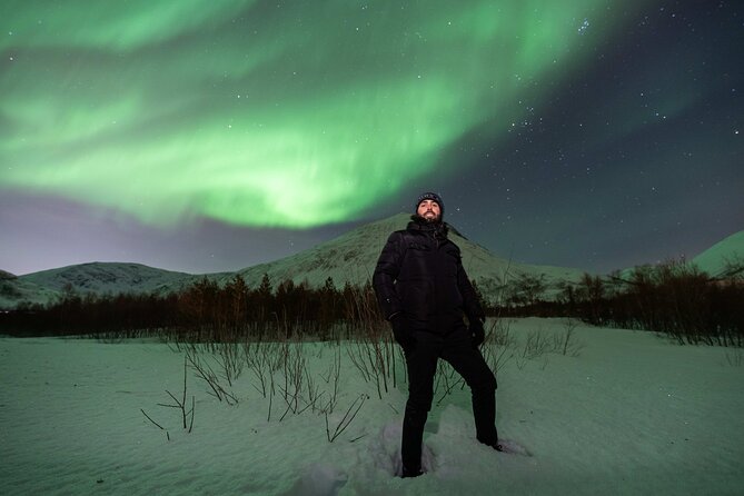 Aurora Magic Northern Lights Tour with Pro Photographer