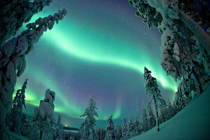 Aurora Photo Experience by Car from Saariselkä - The Scenic Drive and Viewing Spots