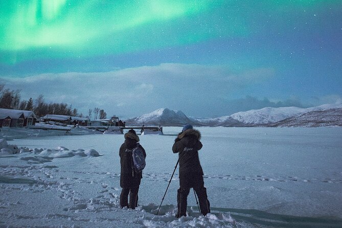 Aurora Tour with Dinner in Abisko - What to Expect from the Aurora Tour with Dinner in Abisko