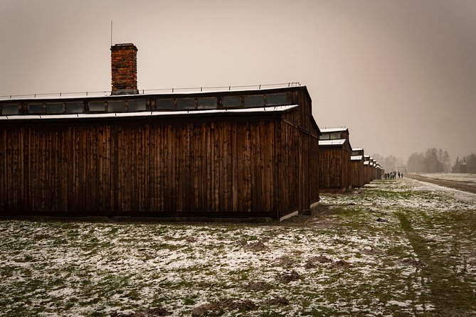 Auschwitz-Birkenau and Wieliczka Salt Mine Day Tour from Krakow with private car