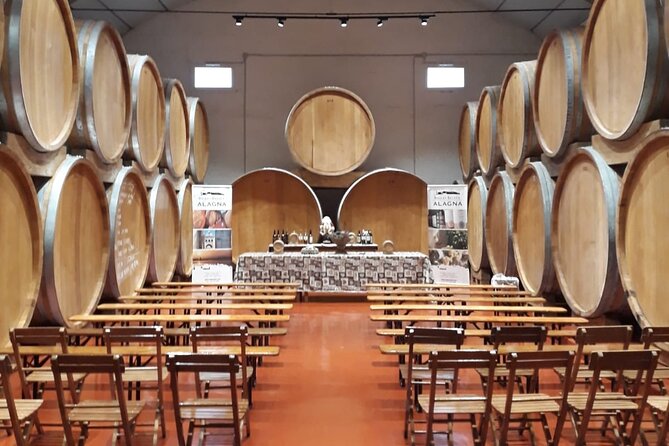 Authentic Marsala Wine Tasting Experience in a Historic Winery - A First Look at the Tour