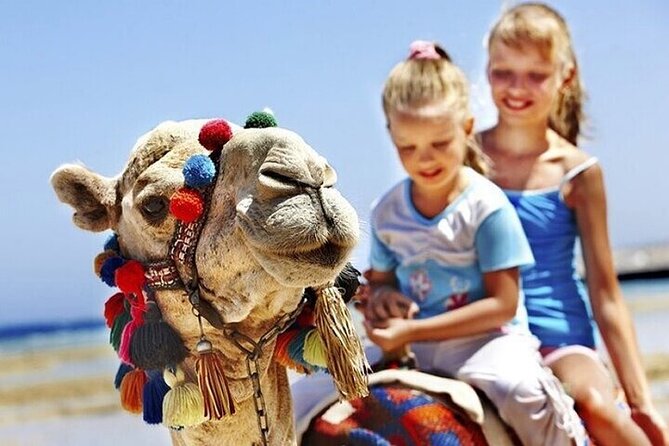 Authentic Private Tangier Tour from Marbella Camel Ride & Lunch - Why We Love This Tour