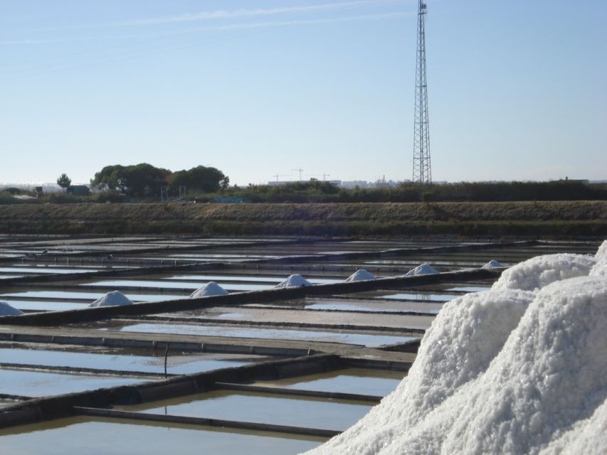 Aveiro: Boat Cruise and City Walking Tour with Sweet Tasting - Why This Tour Works for Travelers