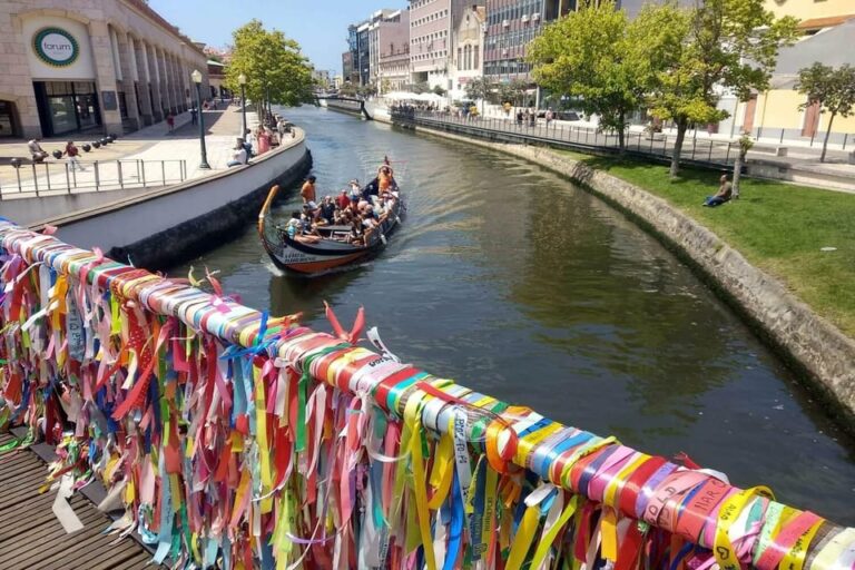 AVEIRO E COSTA NOVA: Private Full-Day Tour w/Boat from Porto