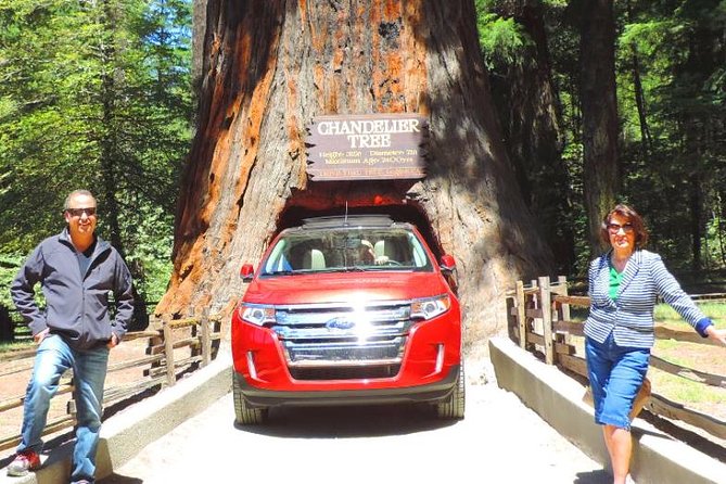 Avenue of the Giant Redwood Private 1 day Tour from San Francisco - Good To Know