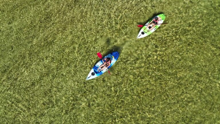 Bad Goisern: Kayak adventure on the Traun in the Salzkammergut