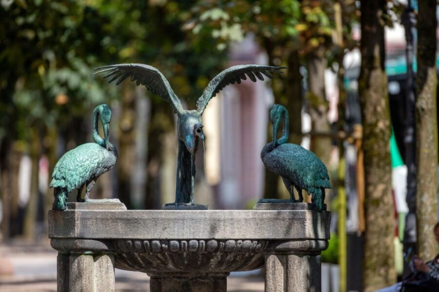 Baden-Baden: History and Thermal Water Guided Walking Tour - An In-Depth Look at the Baden-Baden Historical & Thermal Water Walking Tour
