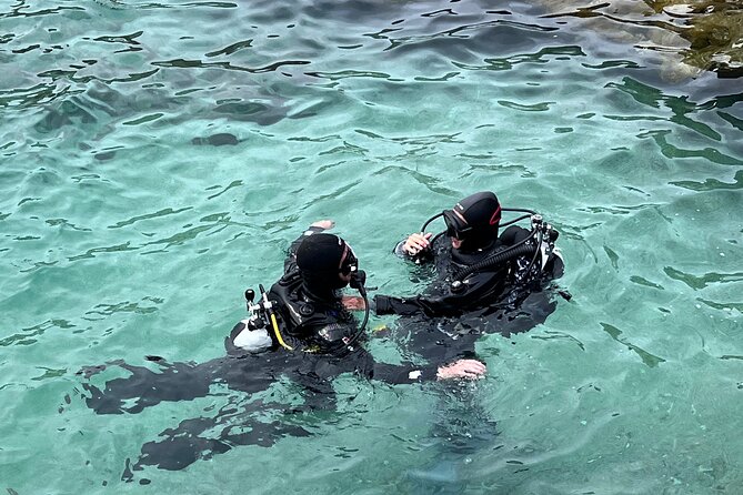 Baptism of the Sea in Favignana – Try Scuba diving