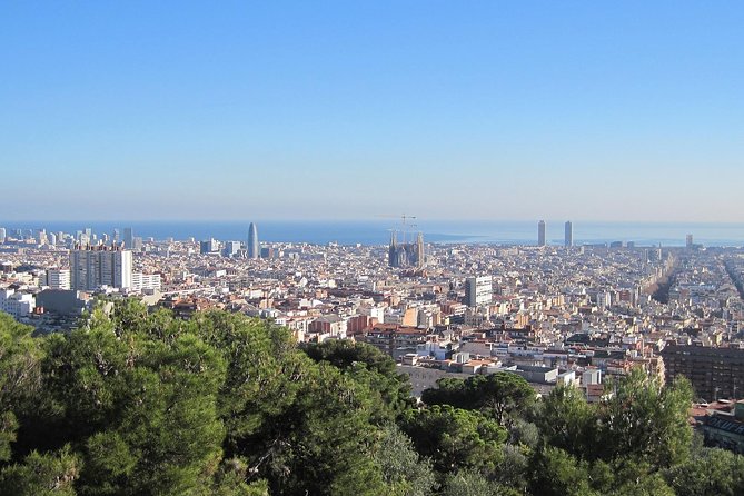 Barcelona: Park Guell Guided Tour with Skip the Line Ticket - Why Choose the Guided Tour of Park Guell?