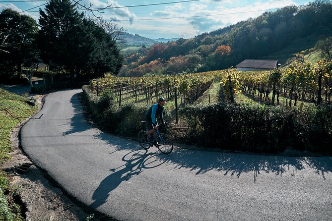 Basque Coast Road Bike Tour