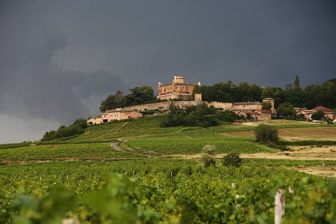 Beaujolais Wine Tour – Tastings & Gourmet Picnic Lunch