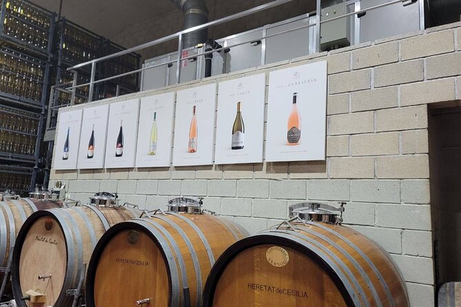Beautiful Winery in the Alicante - Discovering the Heart of Alicante’s Wine Scene