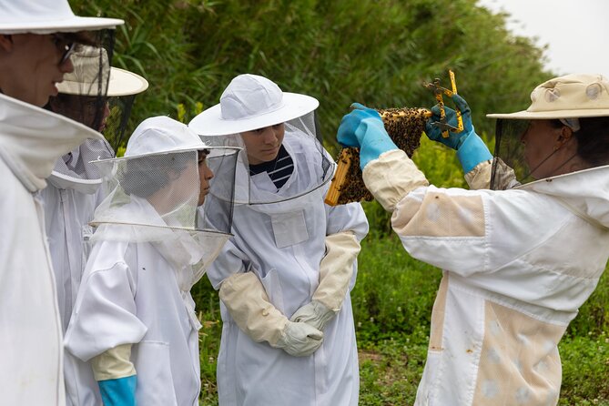 Bee Inspired: A Journey in São Miguel and a Visit to an Apiary - Practical Details: What You Need to Know
