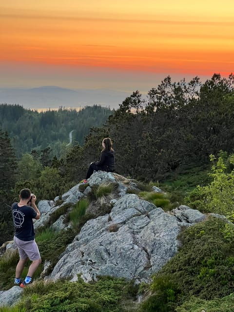 Bergen Magical Nature Tour | ViFlowExperience - An Overview of the Bergen Magical Nature Tour