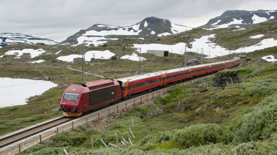 Bergen: Nærøyfjord Cruise and Flåm Railway Ride to Oslo - An In-Depth Look at the Bergen: Nærøyfjord Cruise and Flåm Railway Tour