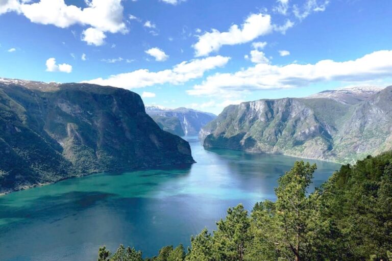 Bergen: Nærøyfjord Cruise & Flåm Railway Day Trip to Oslo