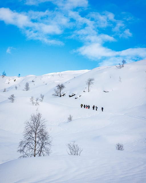 Bergen: Snowshoe Hike – Public Tour