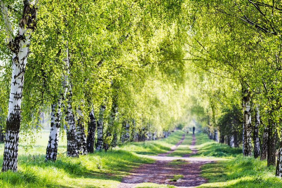 Berlin: Photo course Landschafts- & Naturfotografie - Discovering Berlin’s Natural Beauty: What to Expect