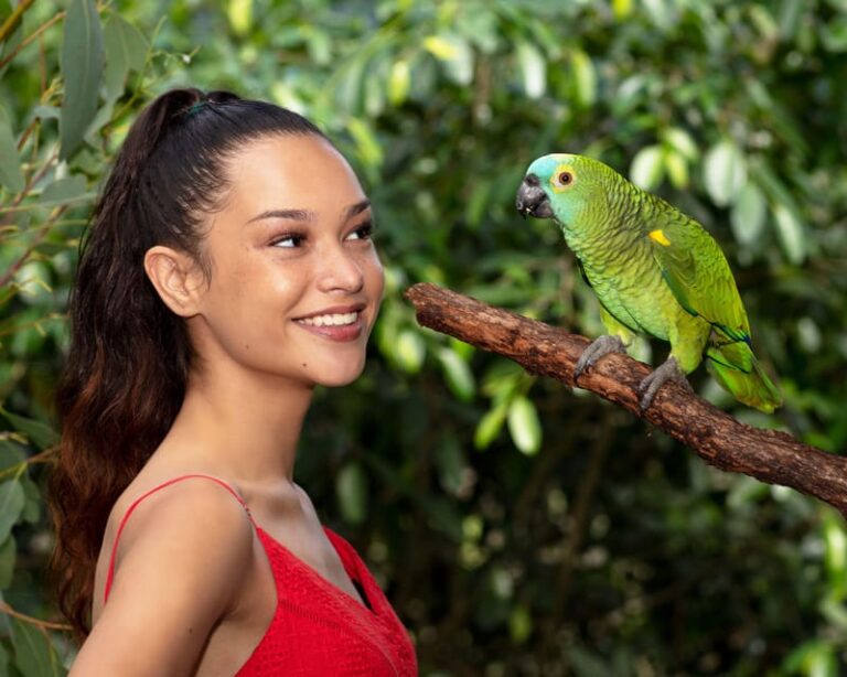 Bespoke Birdworld – An Intimate Experience!