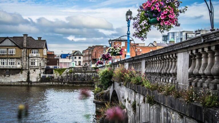 Best of Limerick: Private Walking Tour with a Local