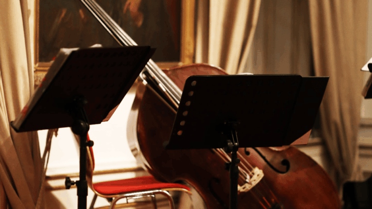 Best of Mozart & Strauss